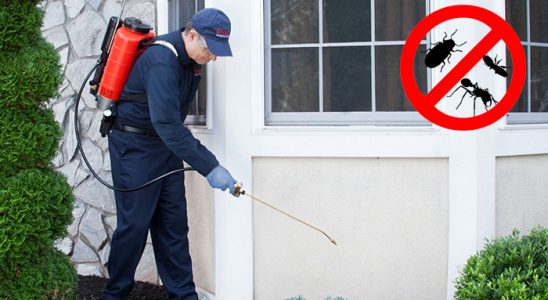 Terme Böcek İlaçlama böcek ilaçlama ve haşere kontrolü — ilaclama-tr.com